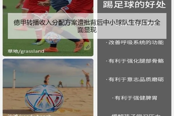 德甲转播收入分配方案遭批背后中小球队生存压力全面显现